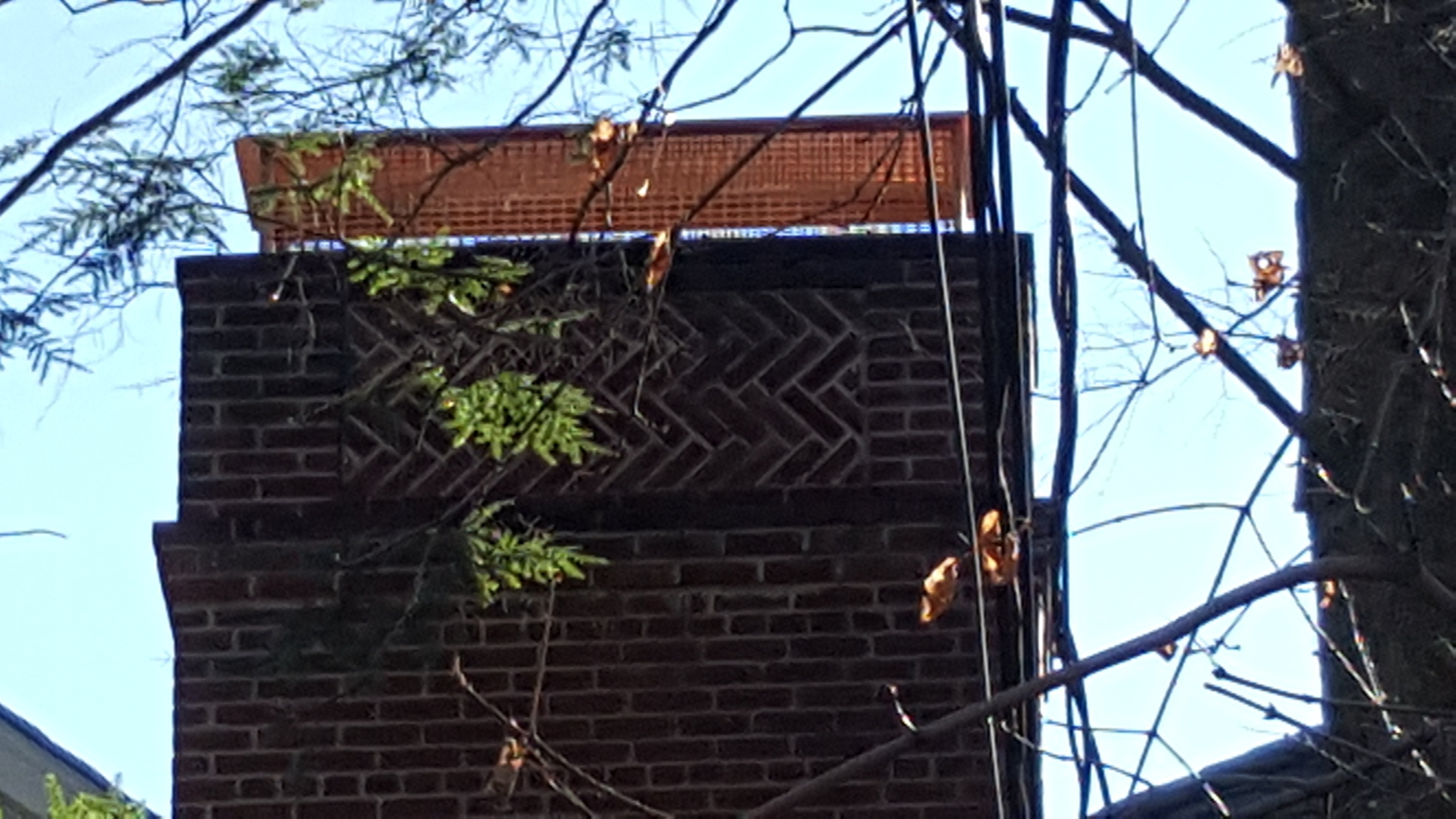 Animal-proof chimney cap protecting home in Baldwin, New York